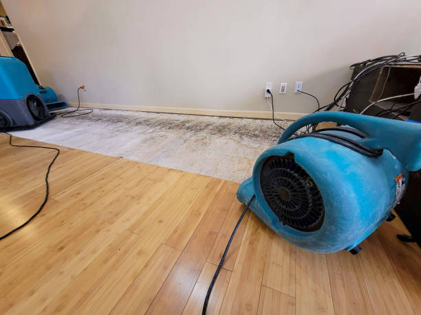 Professional Flood Damage Cleanup technician working in Wheaton, MN